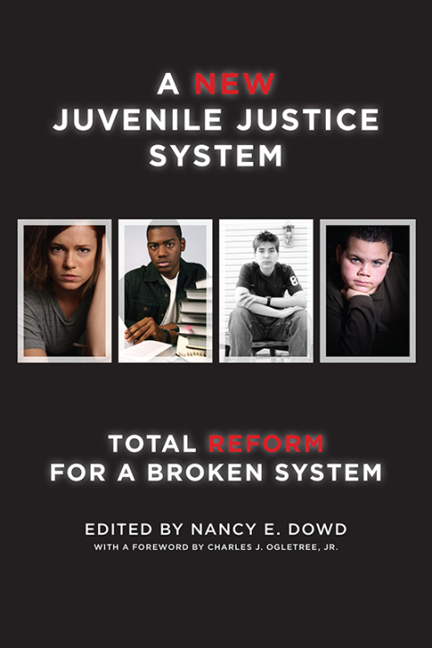 Cover image for book A New Juvenile Justice System