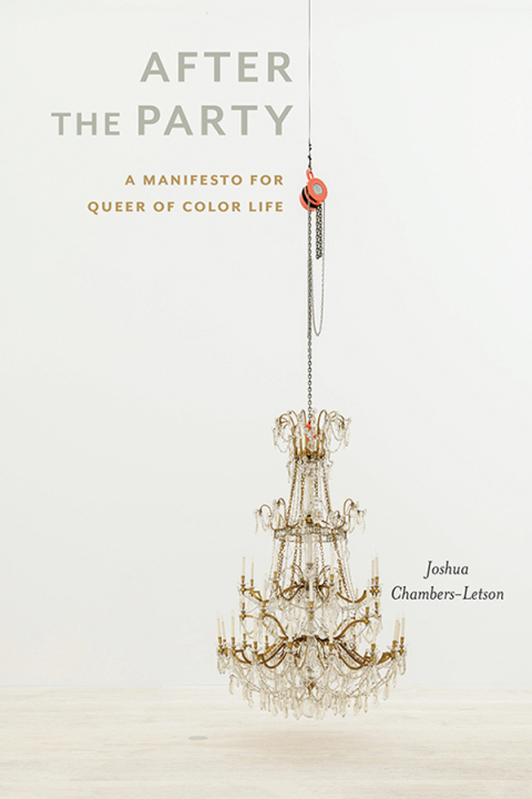 Cover image for book After the Party