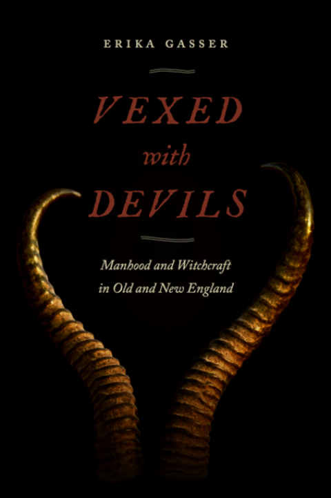 Cover image for book Vexed with Devils