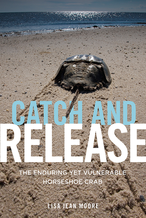 Cover image for book Catch and Release
