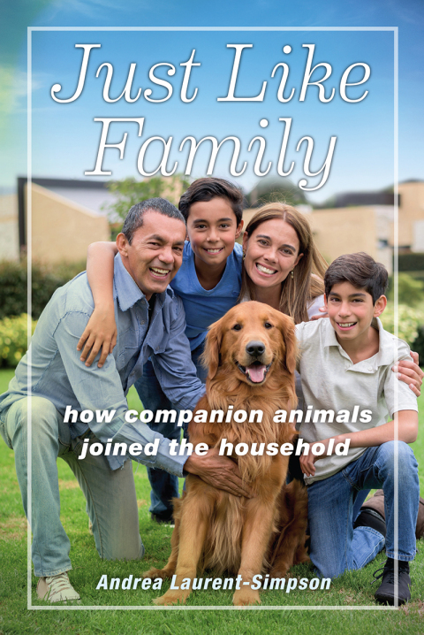 Cover image for book Just Like Family