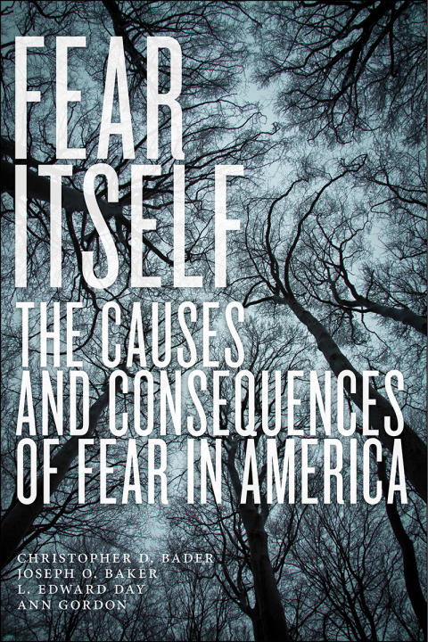 Cover image for book Fear Itself