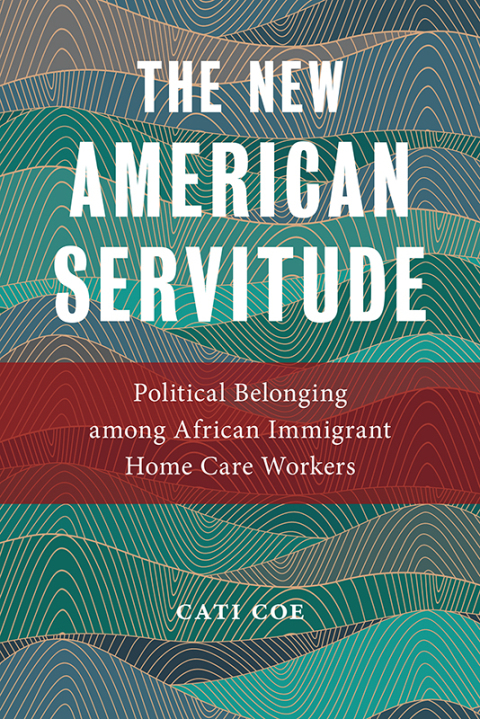 Cover image for book The New American Servitude