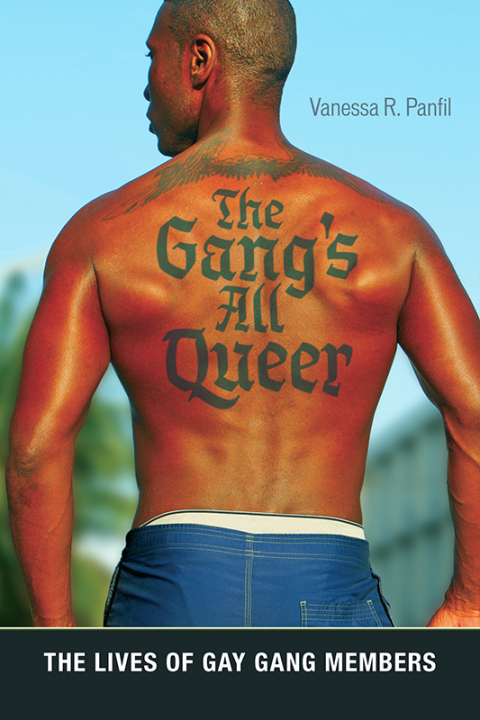 Cover image for book The Gang's All Queer