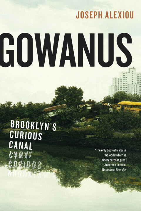 Cover image for book Gowanus