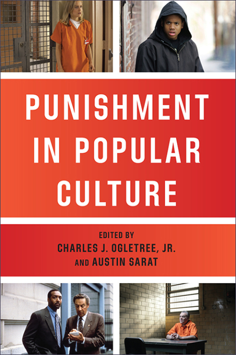 Cover image for book Punishment in Popular Culture