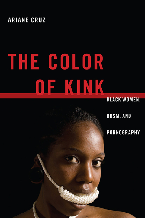 Cover image for book The Color of Kink