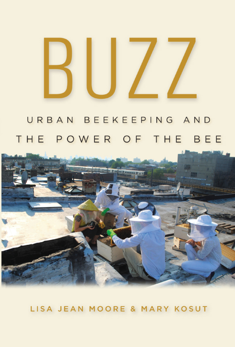 Cover image for book Buzz