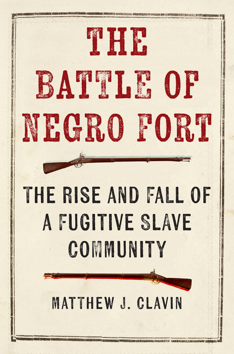Cover image for book The Battle of Negro Fort