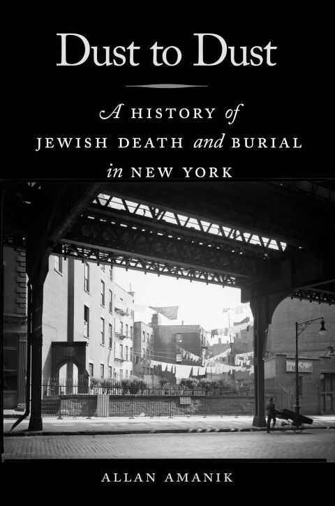 Cover image for book Dust to Dust