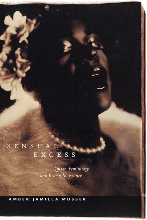 Cover image for book Sensual Excess
