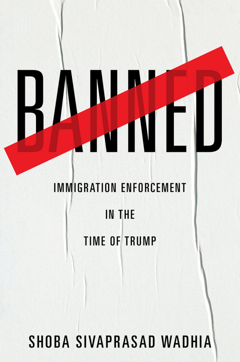 Cover image for book Banned
