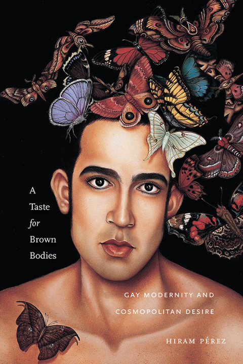 Cover image for book A Taste for Brown Bodies