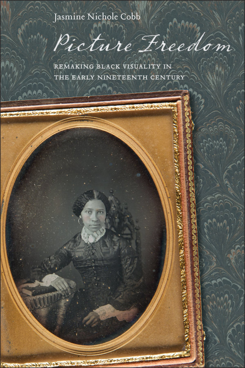 Cover image for book Picture Freedom