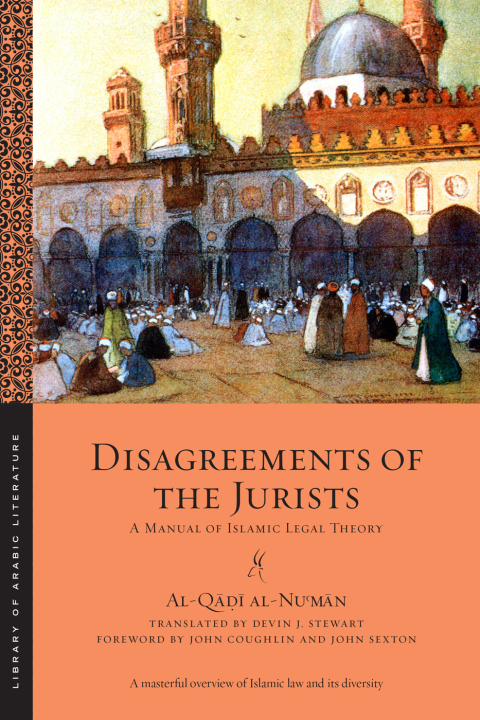 Cover image for book Disagreements of the Jurists
