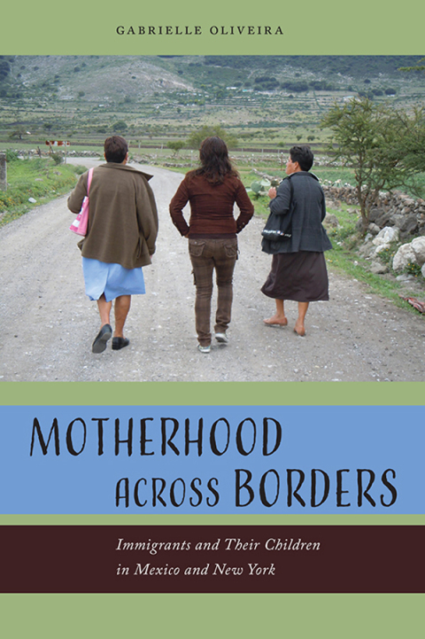 Cover image for book Motherhood across Borders