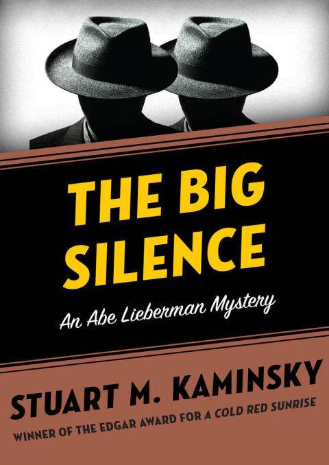 Cover image for book The Big Silence