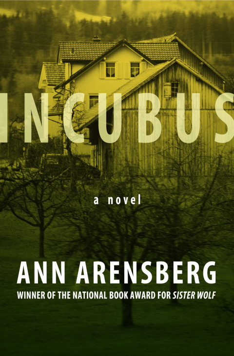 Cover image for book Incubus
