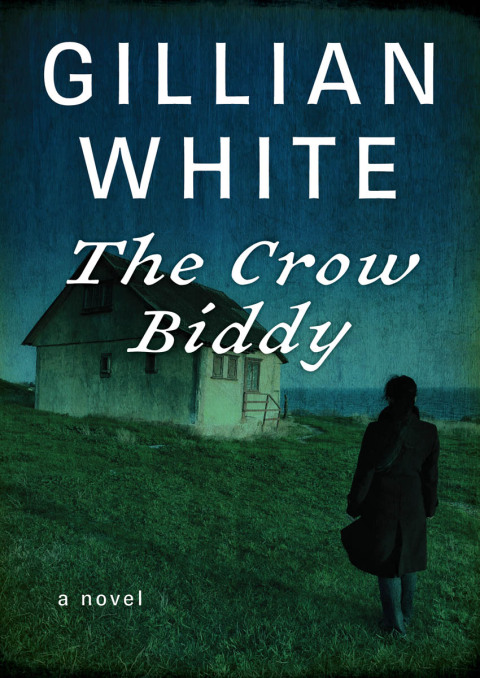 Cover image for book The Crow Biddy