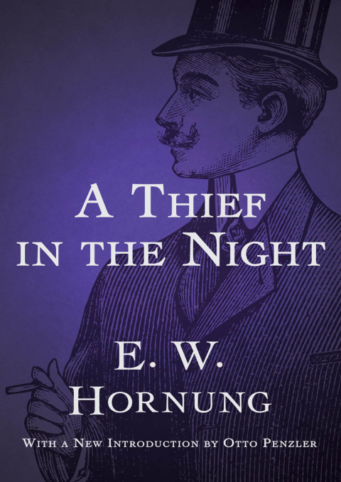 Cover image for book A Thief in the Night