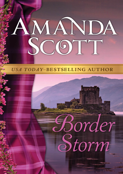 Cover image for book Border Storm