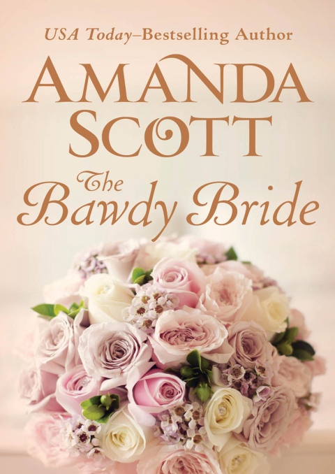 Cover image for book The Bawdy Bride
