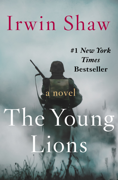 Cover image for book The Young Lions