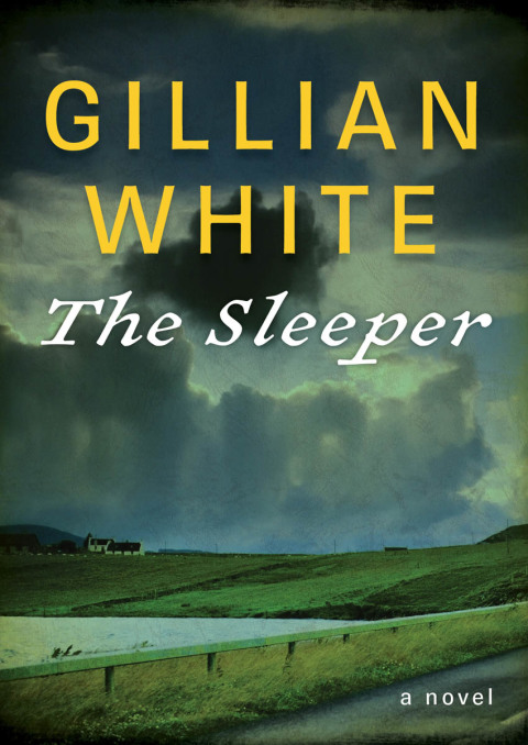 Cover image for book The Sleeper