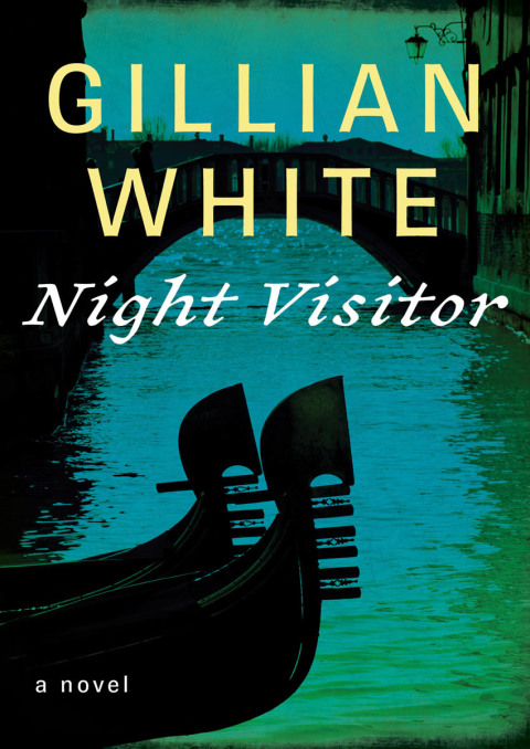 Cover image for book Night Visitor