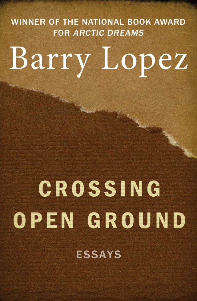 Crossing Open Ground