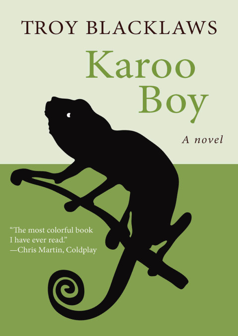 Cover image for book Karoo Boy