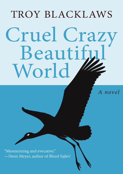 Cover image for book Cruel Crazy Beautiful World