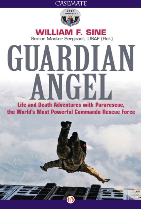 Cover image for book Guardian Angel