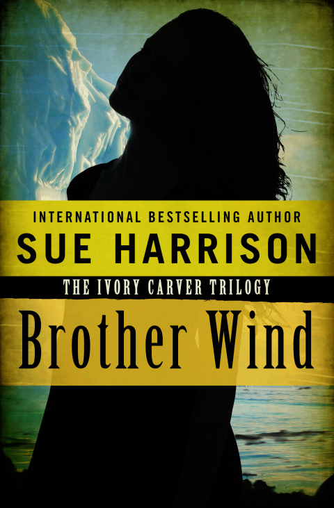 Cover image for book Brother Wind