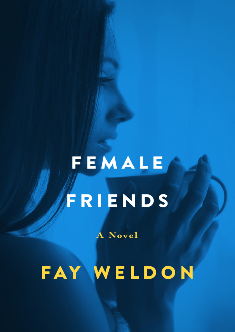Cover image for book Female Friends