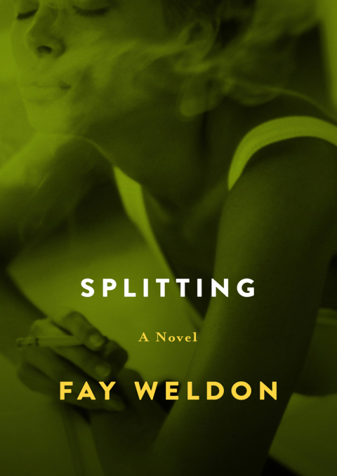 Cover image for book Splitting