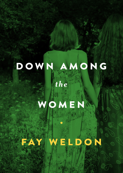 Cover image for book Down Among the Women