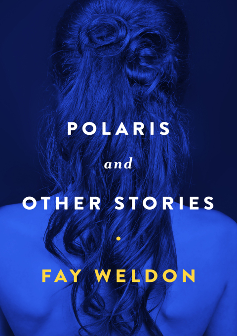 Cover image for book Polaris