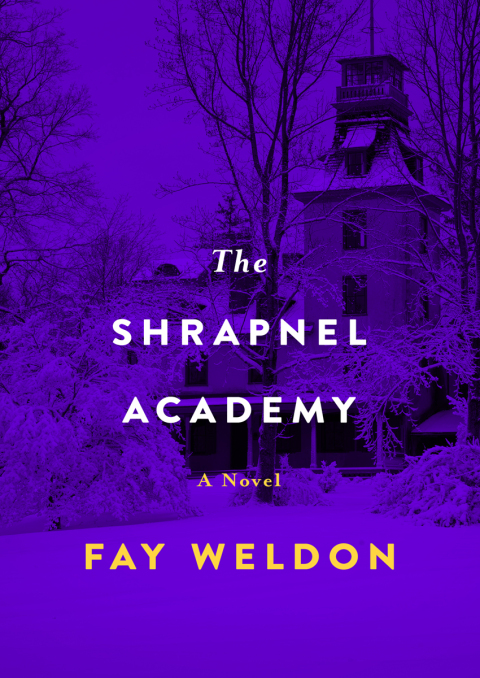 Cover image for book The Shrapnel Academy