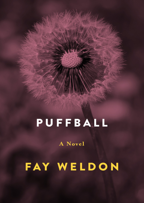 Cover image for book Puffball
