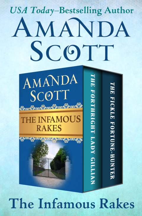 Cover image for book The Infamous Rakes