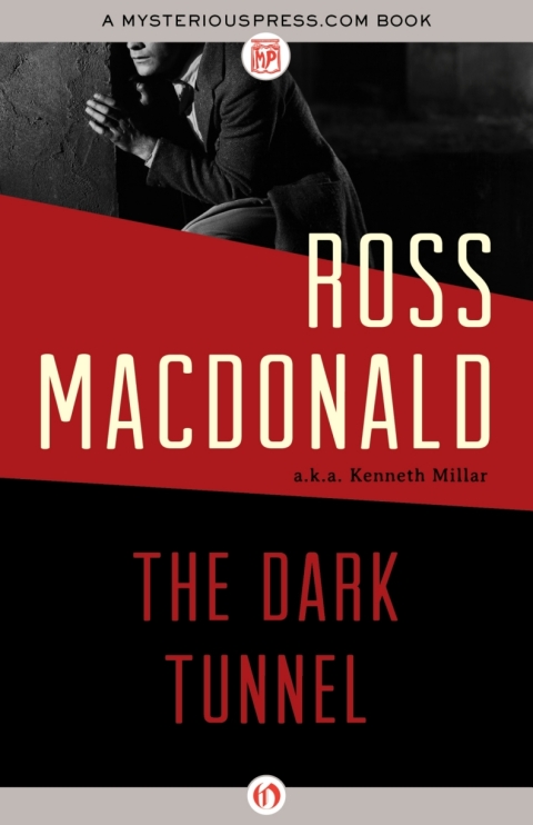 Cover image for book The Dark Tunnel