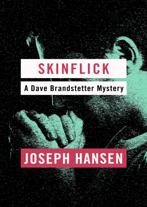 Cover image for book Skinflick