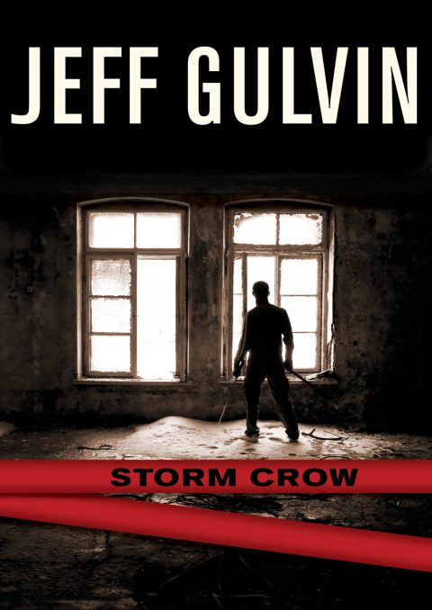 Cover image for book Storm Crow