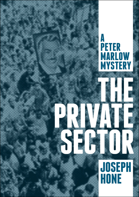 Cover image for book The Private Sector