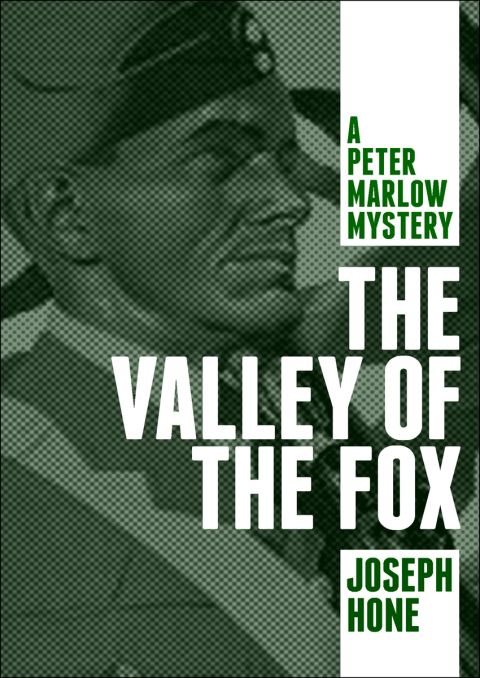 Cover image for book The Valley of the Fox