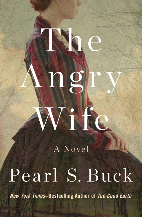Cover image for book The Angry Wife