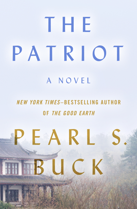 Cover image for book The Patriot