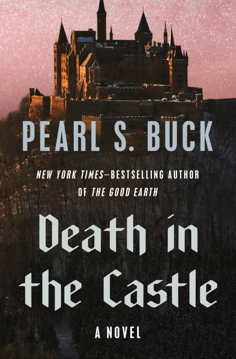 Cover image for book Death in the Castle