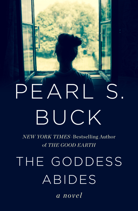 Cover image for book The Goddess Abides
